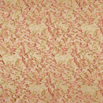 Nobilis Extravaganza Lelio_10881-41