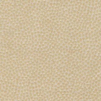 Arlin Ambrosia 2 BRD-A