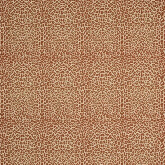  Icones Fauve_10945-55