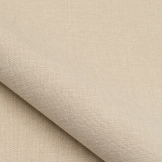 Nobilis Massimo 10875_02