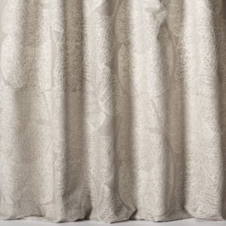 Nobilis Phoenicia Rachel_10842-25