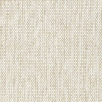 Elitis Acosta formosa-od-139-05