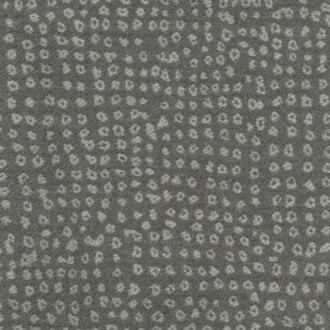  Modern Legacy DE13515