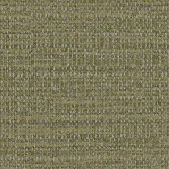 Etamine Nagpur 19624775