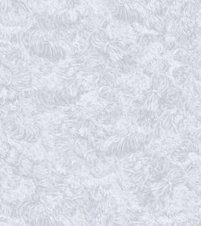 Bernardo Bartalucci Carlotta 84216_3