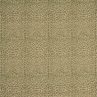  Icones Fauve_10945-75