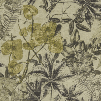 Clarke&Clarke Exotica F1301-01