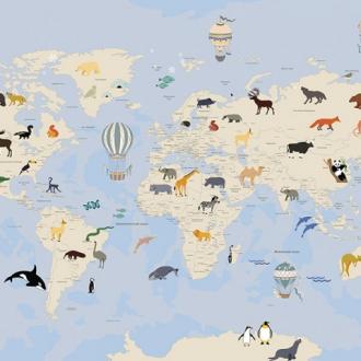 Ortograf Для самых маленьких OR 33729