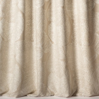 Nobilis Phoenicia Rachel_10842-08