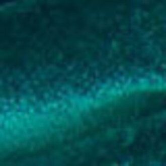 Zimmer + Rohde Infinity Plus 10660666