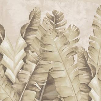 Ortograf Oasis OR 32701