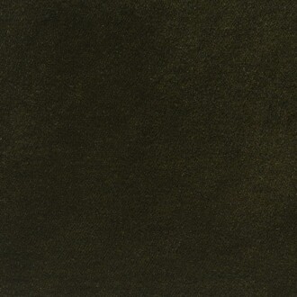 Dedar Alpaca Alto 00T2403600006