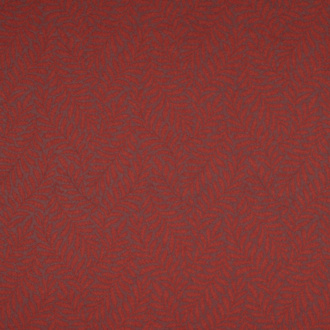 Nobilis Mont Blanc 2 Fougere_10801-57