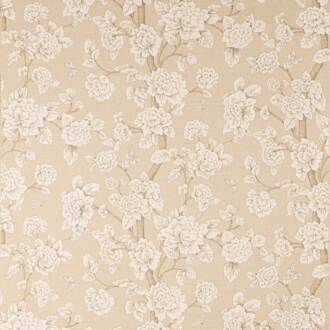 Manuel Canovas Marsan M4129-03