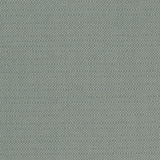 Clarke&Clarke Exotica F1299-06