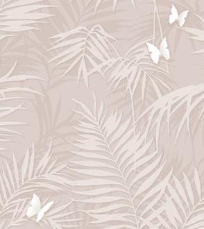 Andrea Rossi Stromboli 54348_3