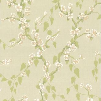 Little Greene Archive Trails 0247SAPOMME