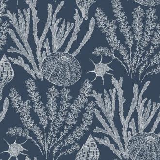 Paper & Ink Coastal Chic CO11832