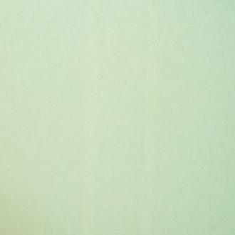 Milassa Twins twins19005