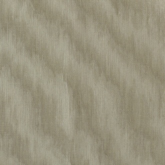 Dedar Amoir Fou T20007_006