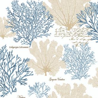 Jaima Brown Charleseton Home jb51508