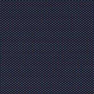  Equinox 2 Fabric F1620-04