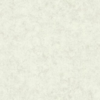 Caselio Beton 2 101487140