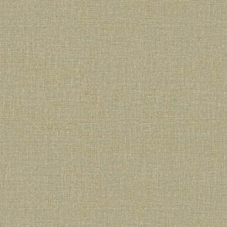 Zambaiti Mini Trend Z15506