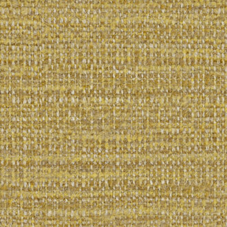 Etamine Nagpur 19624114