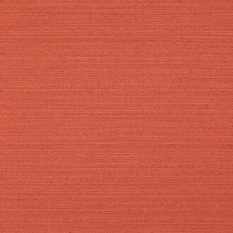 Nobilis Mary & Gary 10655_58