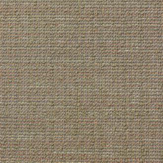  Berbero amastan_col8