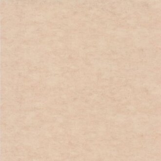 Caselio Beton 2 101482551