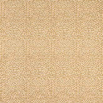  Icones Fauve_10945-09