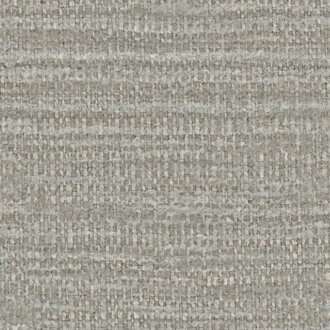 Etamine Nagpur 19624883