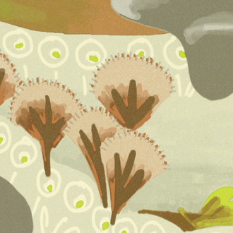 Elitis Les petites histoires TP_323-02