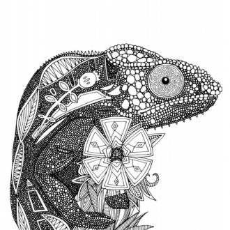 Ortograf Шэрон Тёрнер OR 9747