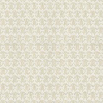 Roberto Cavalli No.9 21033