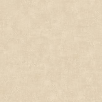 Zambaiti Lamborghini 3 Z12820