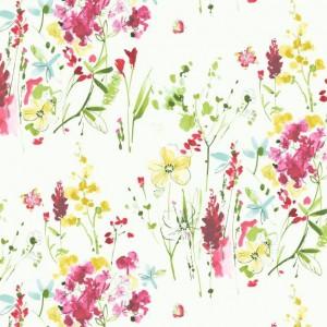 Blendworth Avania Meadow_Flowers_0022