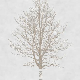 Wall&Deco CODE 2013 OUT SYSTEM OUTO_TR1303_1