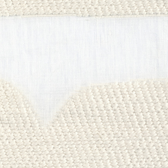  Expression LZ_876_02