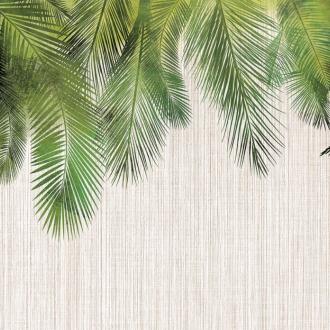 Ortograf Oasis OR 32704