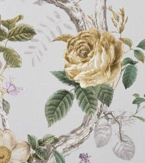 Andrea Rossi Cavolli 54421_3