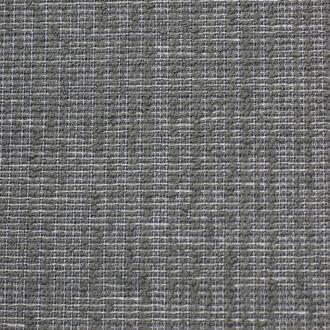  Berbero amastan_col22