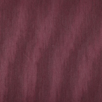 Dedar Amoir Fou T20007_023