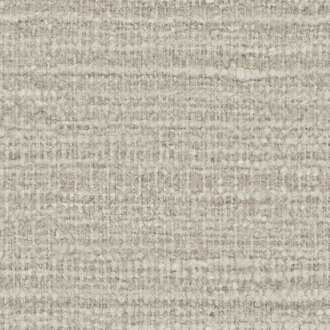 Etamine Nagpur 19624325