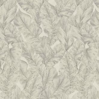 Roberto Cavalli No.9 21073