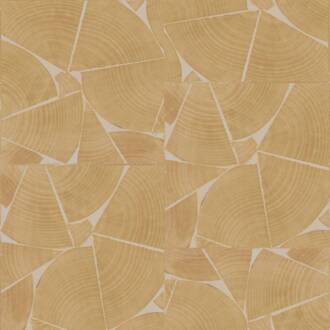  Marqueteries fragments-rm-1037-15