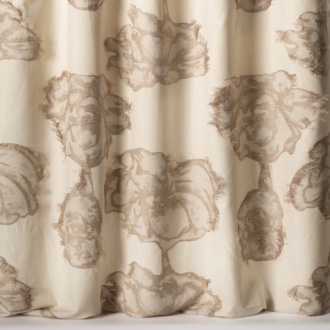 Nobilis Phoenicia Peonia_10857-08