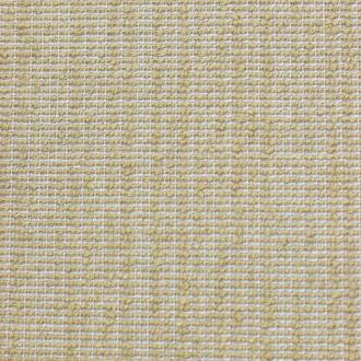  Berbero amastan_col6